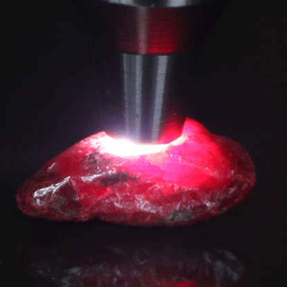 華偉糧油簡介 華偉糧油集團(tuán)