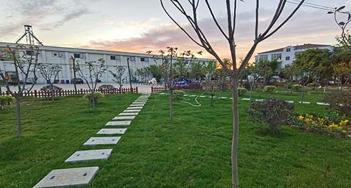 看今天的企業(yè)生機(jī)勃勃，謀未來(lái)的發(fā)展壯志滿(mǎn)懷，公司在不斷發(fā)展壯大的道路上