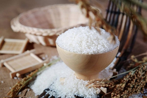 茉莉香米怎么煮好吃